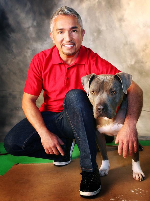 dog-whisperer-cesar…